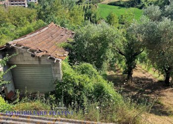 Foto 13 - Rustico Via della Madonna
 
19, Campli - foto 13