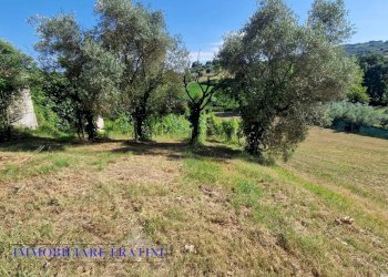 Foto 18 - Rustico Via della Madonna
 
19, Campli - foto 18