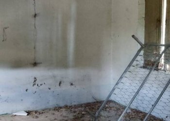 Foto 23 - Rustico Via della Madonna
 
19, Campli - foto 23