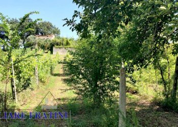 Foto 28 - Rustico Via della Madonna
 
19, Campli - foto 28