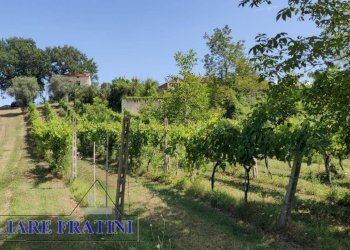 Foto 30 - Rustico Via della Madonna
 
19, Campli - foto 30