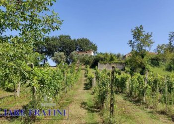 Foto 32 - Rustico Via della Madonna
 
19, Campli - foto 32