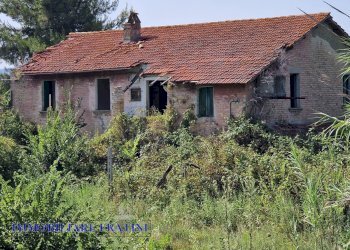 Foto 3 - Rustic Contrada Piane Tronto
 
snc, Controguerra - photo 3