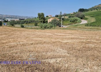 Foto 8 - Rustic Contrada Piane Tronto
 
snc, Controguerra - photo 8