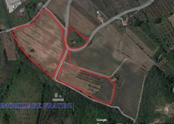 Foto 11 - Rustic Contrada Piane Tronto
 
snc, Controguerra - photo 11