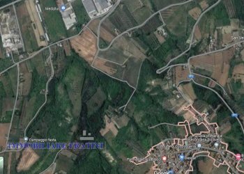 Foto 12 - Rustic Contrada Piane Tronto
 
snc, Controguerra - photo 12