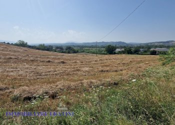 Foto 13 - Rustic Contrada Piane Tronto
 
snc, Controguerra - photo 13