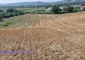 Foto 14 - Rustic Contrada Piane Tronto
 
snc, Controguerra - photo 14