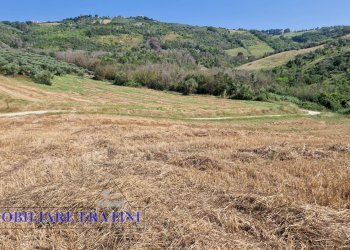 Foto 15 - Rustic Contrada Piane Tronto
 
snc, Controguerra - photo 15