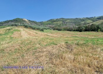 Foto 16 - Rustic Contrada Piane Tronto
 
snc, Controguerra - photo 16