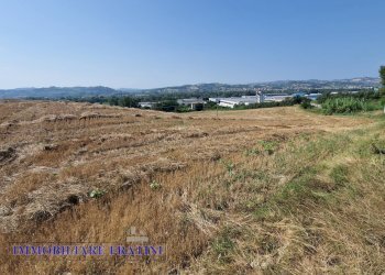 Foto 17 - Rustic Contrada Piane Tronto
 
snc, Controguerra - photo 17