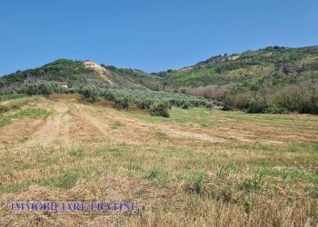 Foto 18 - Rustic Contrada Piane Tronto
 
snc, Controguerra - photo 18