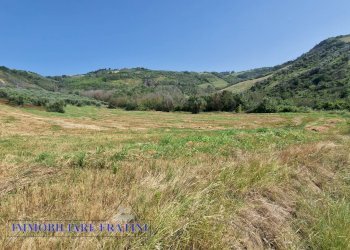 Foto 19 - Rustic Contrada Piane Tronto
 
snc, Controguerra - photo 19