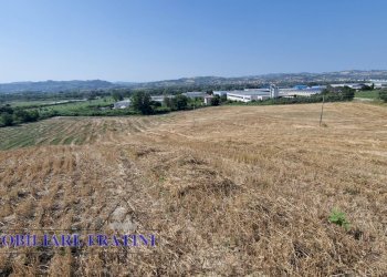 Foto 20 - Rustic Contrada Piane Tronto
 
snc, Controguerra - photo 20