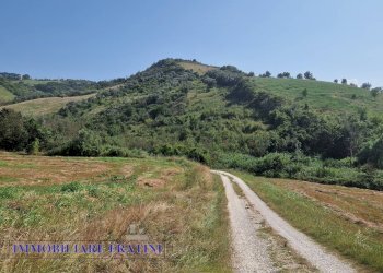 Foto 22 - Rustic Contrada Piane Tronto
 
snc, Controguerra - photo 22