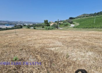 Foto 24 - Rustic Contrada Piane Tronto
 
snc, Controguerra - photo 24