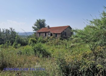 Foto 25 - Rustic Contrada Piane Tronto
 
snc, Controguerra - photo 25