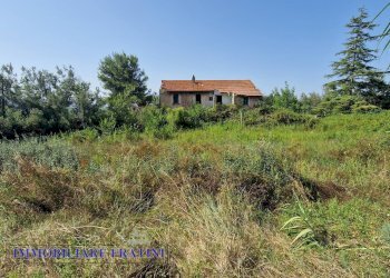 Foto 26 - Rustic Contrada Piane Tronto
 
snc, Controguerra - photo 26