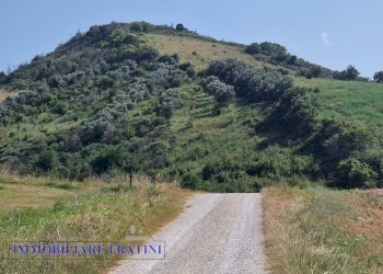 Foto 30 - Rustic Contrada Piane Tronto
 
snc, Controguerra - photo 30