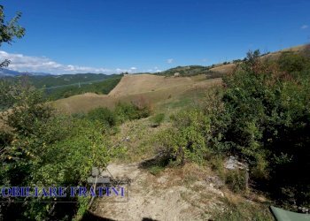 Foto 13 - Independent house Via Poggio Paganello
 
74, Roccafluvione - photo 13