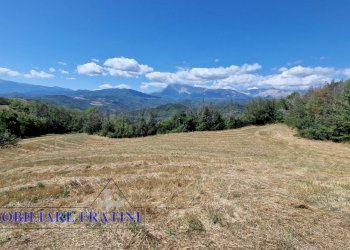 Foto 15 - Independent house Via Poggio Paganello
 
74, Roccafluvione - photo 15