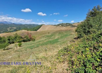 Foto 17 - Independent house Via Poggio Paganello
 
74, Roccafluvione - photo 17