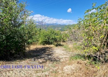 Foto 30 - Independent house Via Poggio Paganello
 
74, Roccafluvione - photo 30