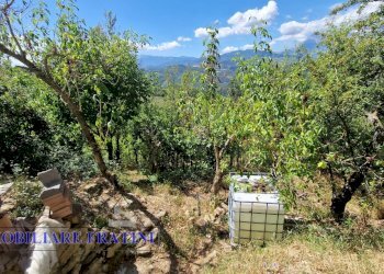 Foto 31 - Independent house Via Poggio Paganello
 
74, Roccafluvione - photo 31