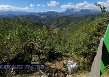 Foto 41 - Independent house Via Poggio Paganello
 
74, Roccafluvione - photo 41