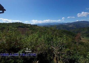 Foto 42 - Independent house Via Poggio Paganello
 
74, Roccafluvione - photo 42