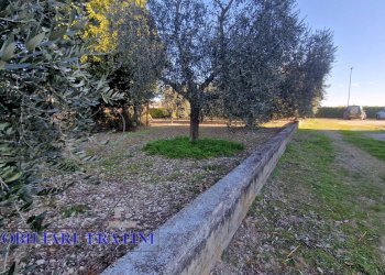 Foto 12 - Magazzino Via Giuseppe Verdi
82, Sant'Egidio alla Vibrata - foto 12