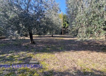 Foto 13 - Magazzino Via Giuseppe Verdi
82, Sant'Egidio alla Vibrata - foto 13