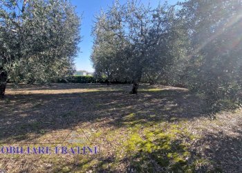 Foto 14 - Magazzino Via Giuseppe Verdi
82, Sant'Egidio alla Vibrata - foto 14