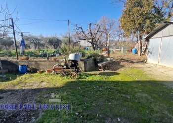 Foto 16 - Magazzino Via Giuseppe Verdi
82, Sant'Egidio alla Vibrata - foto 16