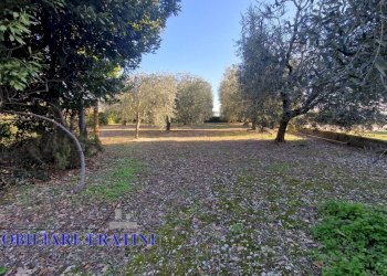 Foto 19 - Magazzino Via Giuseppe Verdi
82, Sant'Egidio alla Vibrata - foto 19