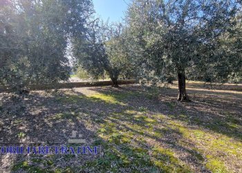 Foto 37 - Magazzino Via Giuseppe Verdi
82, Sant'Egidio alla Vibrata - foto 37