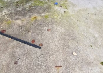 Foto 22 - Magazzino Via Maiella
 
4, Ancarano - foto 22