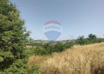 Vista delle montagne - Terreno agricolo C.da Feudo, Campobasso - foto 5