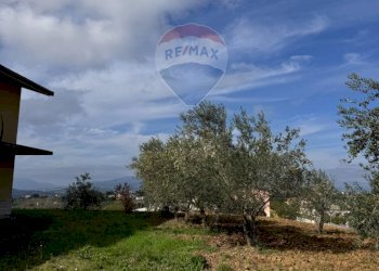 Giardino - Casa indipendente Contrada Colle Pellegrino, Baranello - foto 3