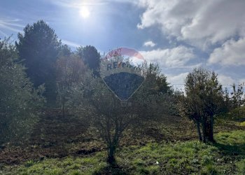 Non correlato - Casa indipendente Contrada Colle Pellegrino, Baranello - foto 8