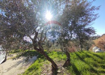 Giardino - Casa indipendente Via San Giovanni Dei Gelsi
 
126, Campobasso - foto 4