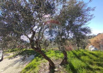 Giardino - Casa indipendente Via San Giovanni Dei Gelsi
 
126, Campobasso - foto 5