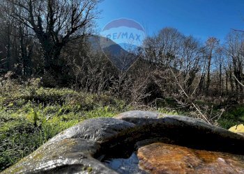 Vista delle montagne - Casa semi indipendente Bojano - foto 17