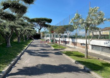 Foto 22 - Villa a Schiera Viale Gorgia Di Leontini
 
260, Roma - foto 22