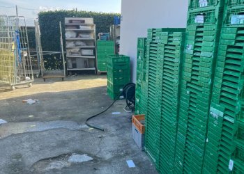 Foto 4 - Commercial Activity Cerreto Guidi - photo 4