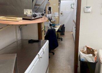 Foto 5 - Commercial Activity Cerreto Guidi - photo 5