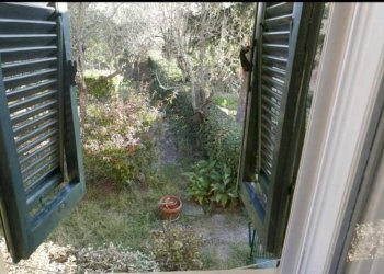 Foto 4 - Appartamento Palaia - foto 4