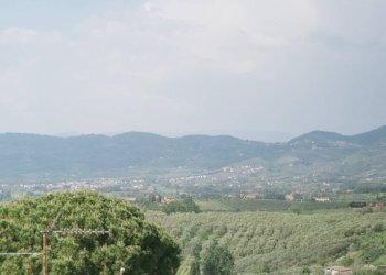 Foto 11 - One-room apartment Cerreto Guidi - photo 11