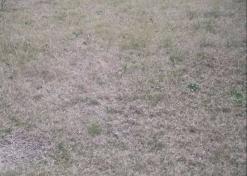 Foto 6 - Bilocale Fucecchio - foto 6