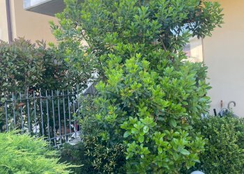 Foto 12 - Appartamento Fucecchio - foto 12